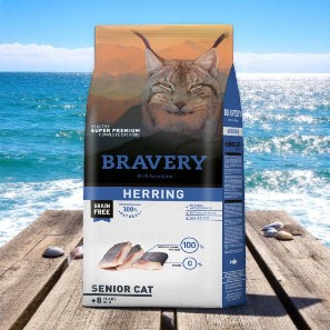 Bravery Herring senior 2K
