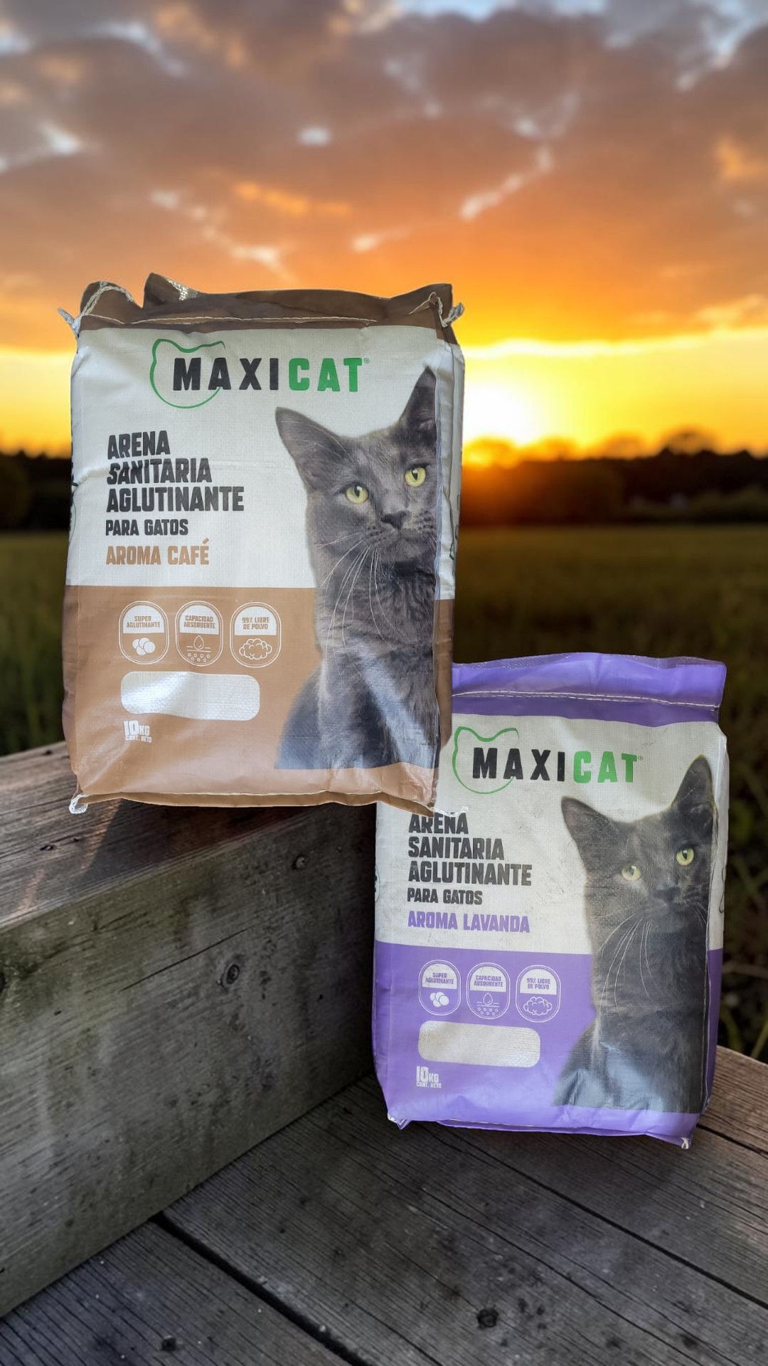MAXICAT 10 KILOS